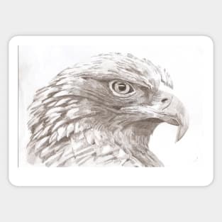 Eagle Sticker